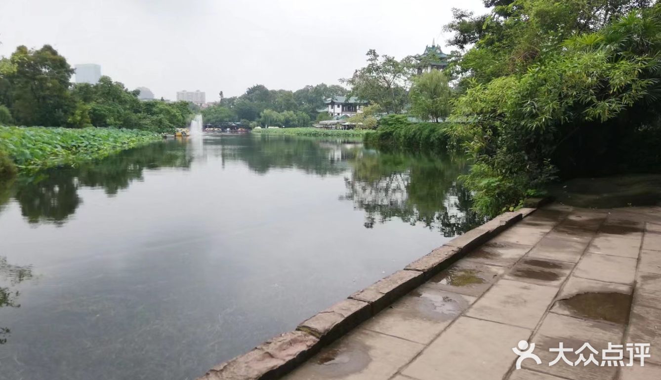 一个人在桂湖森林公园坐着发呆……