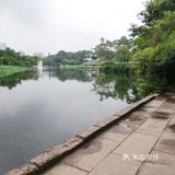 一个人在桂湖森林公园坐着发呆……