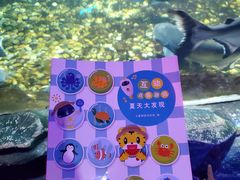 -无锡海洋馆