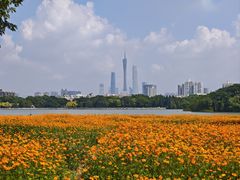 -海珠湖公园