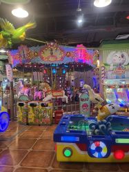 -卡通尼·Safari非洲探索乐园·生日会(金桥国际商业广场店)