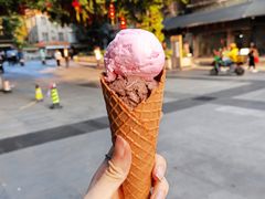 -成裕雪糕店(士多店)
