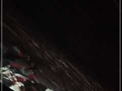 -哈尔滨大剧院