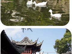 -豫园