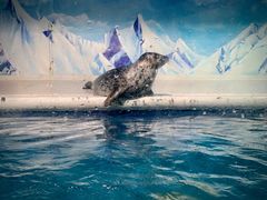 -成都浩海立方海洋公园