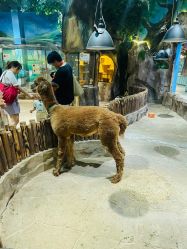 -宝燕乐园(闵行旗舰店)