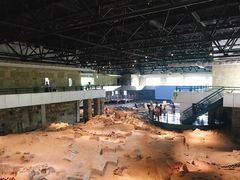 -自贡恐龙博物馆