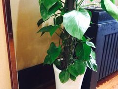 -大蓉和(双楠店)