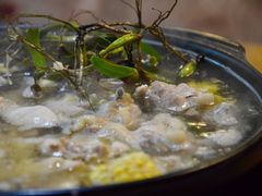 石橄榄鸡煲-鸡弟鸡煲火锅