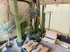 -HIHE Bistro·Oyster Bar(华熙live店)