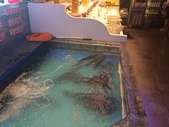 -山河屯铁锅炖鲜鹅·东北菜(开发区一店)