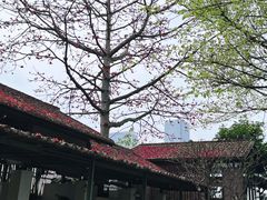 -喜洲吧·江畔老船厂·庭院餐厅(喜临院店)
