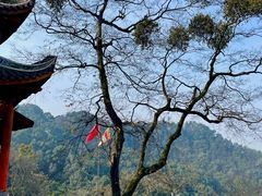 -涂山寺素食餐厅