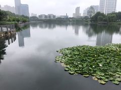 -后襄河公园
