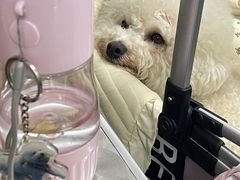 -老胡甜汤(龙眼店)
