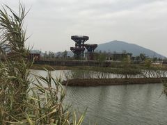 -芒洲湿地公园
