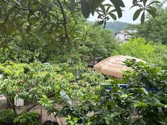 -桃源山庄·水蜜桃采摘·柴火鸡·烧烤团建(龙泉山店)