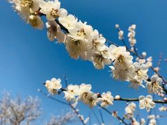 -广州市流溪河国家森林公园