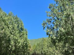 -北京十三陵国家森林公园蟒山景区