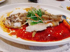 -金粤九号(李公堤店)
