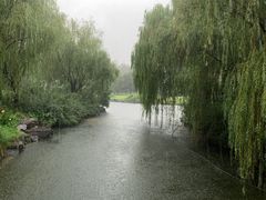 -上海滨江森林公园