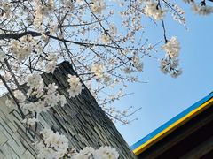 -玉山公园