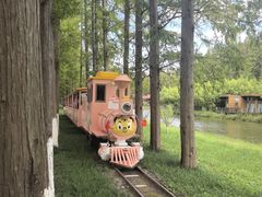 -黄海国家森林公园