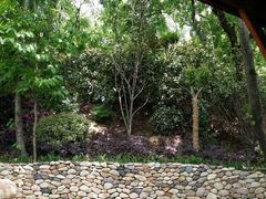 android_upload_pic-南京汤山紫清湖生态旅游温泉度假区