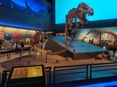 -贝林大翅鲸简餐厅(国家海洋博物馆店)