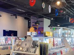 -浣熊唱片店(上海影城店)