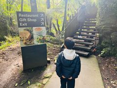 -怀托摩萤火虫洞