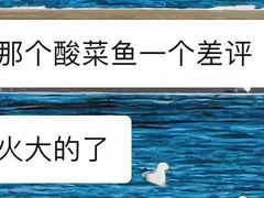 -有家酸菜鱼(苏州绿宝广场店)