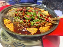 -眉州东坡(北苑华贸店)