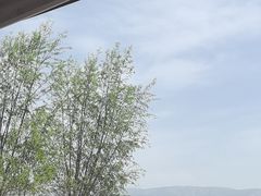 -刘家峡水库
