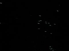 -怀托摩萤火虫洞