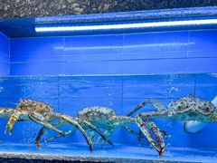 -钱山海鲜大排档