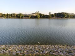 -羊山湖公园