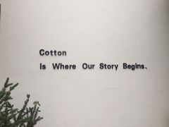 -COTTON CAFE(德信·中外公寓店)