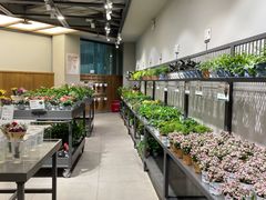 -鹿岛会员店 (龙湖三千集天街店)