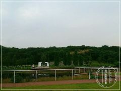-佛手湖郊野公园