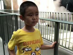 -哈利·波特的魔法世界