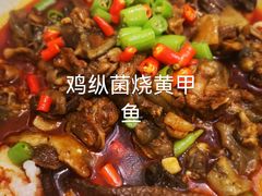 -金龙渔港(双楠店)