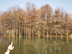 -尚湖风景区