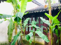 -苏州园林博物馆