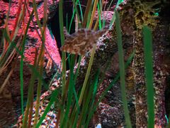 -沈阳海洋探索中心