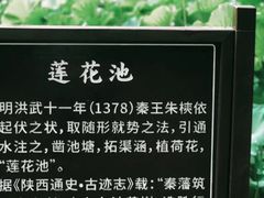-莲湖公园