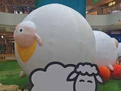 -阳光天地