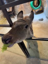 -酷嗒动物文化乐园(cutezoo西溪乐天城店)