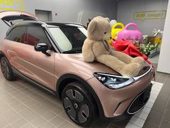 -上海浦东smart汽车全功能店(金桥店)