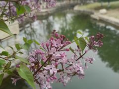 -三里河公园